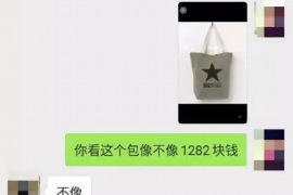 甘肃甘肃专业催债公司，专业催收